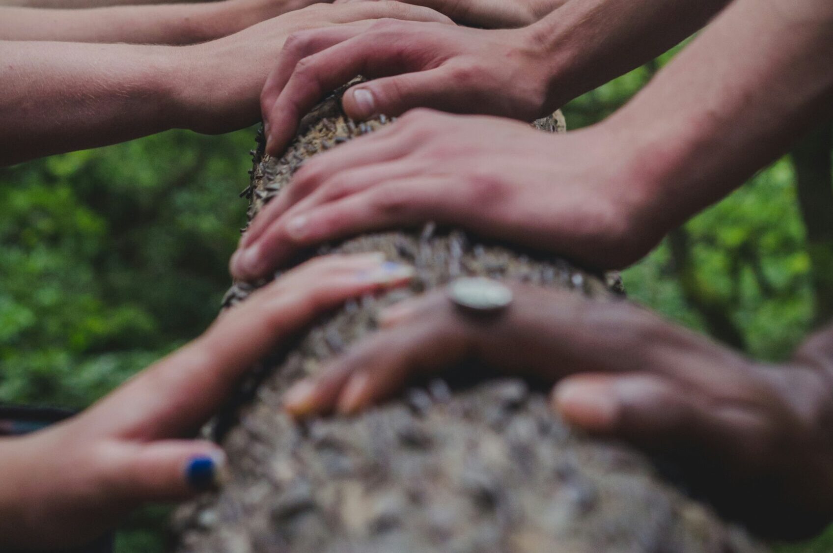 Hands on a tree trunk